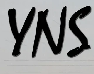 YNS Meaning