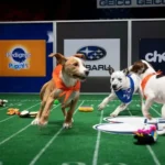 Puppy Bowl 2025