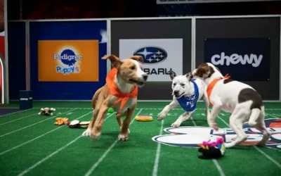 Puppy Bowl 2025