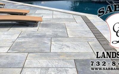 Top Reasons to Invest in Professional Landscaping and Paving Services